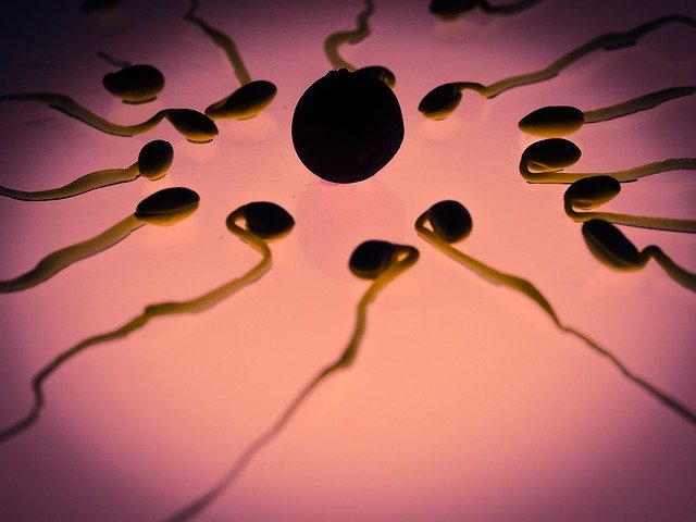 Sperm donation? What are the reasons?